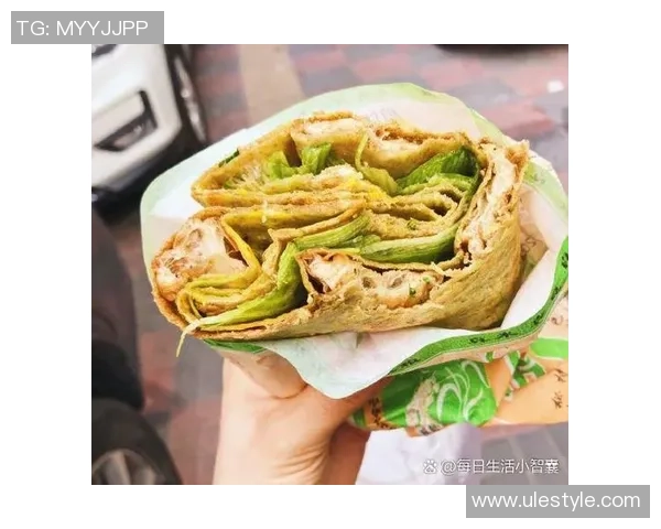 赞岐与岐阜的文化碰撞与美食对决探秘之旅